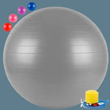 Gym Ball (55 cm)